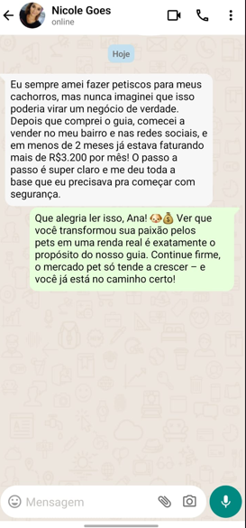 Captura de tela 2025-06-18 214417